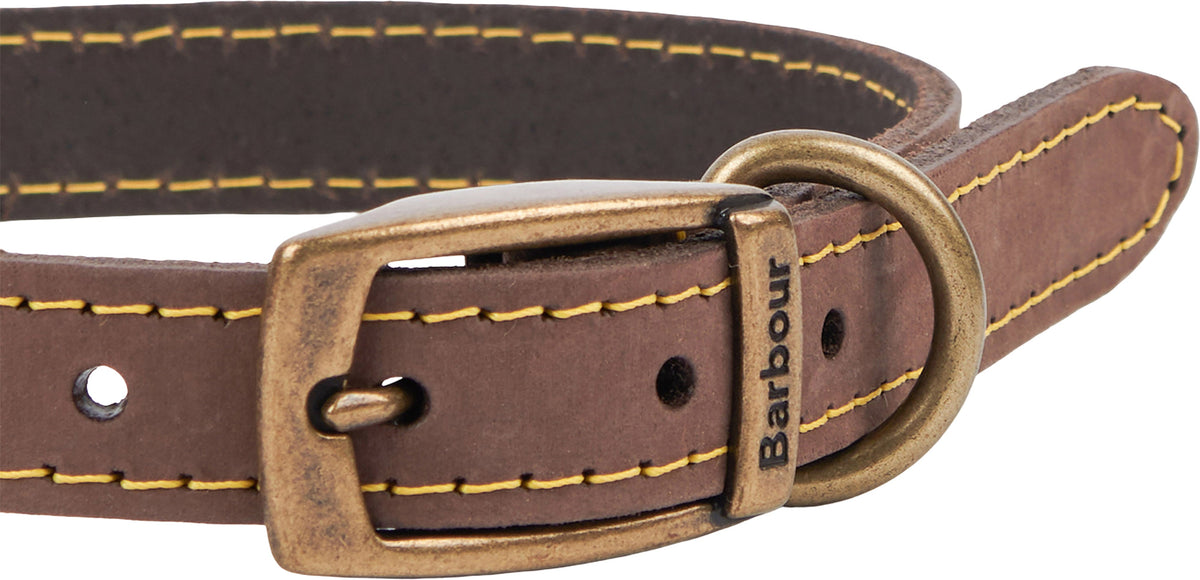 Leather Dog Collar