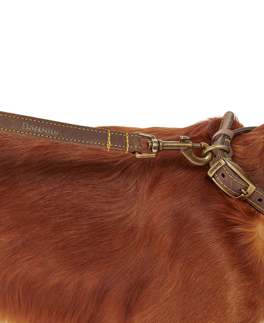Leather Dog Lead