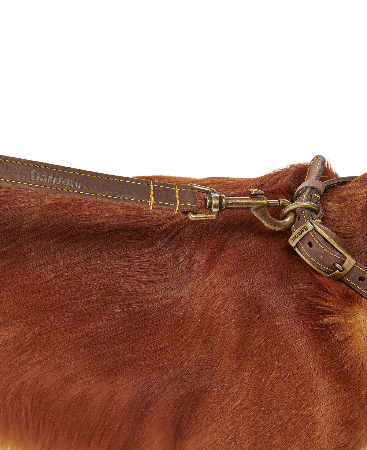 Leather Dog Lead