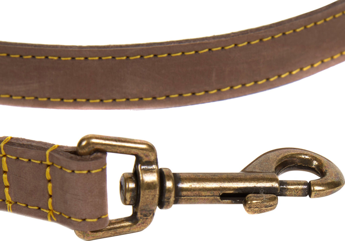 Leather Dog Lead