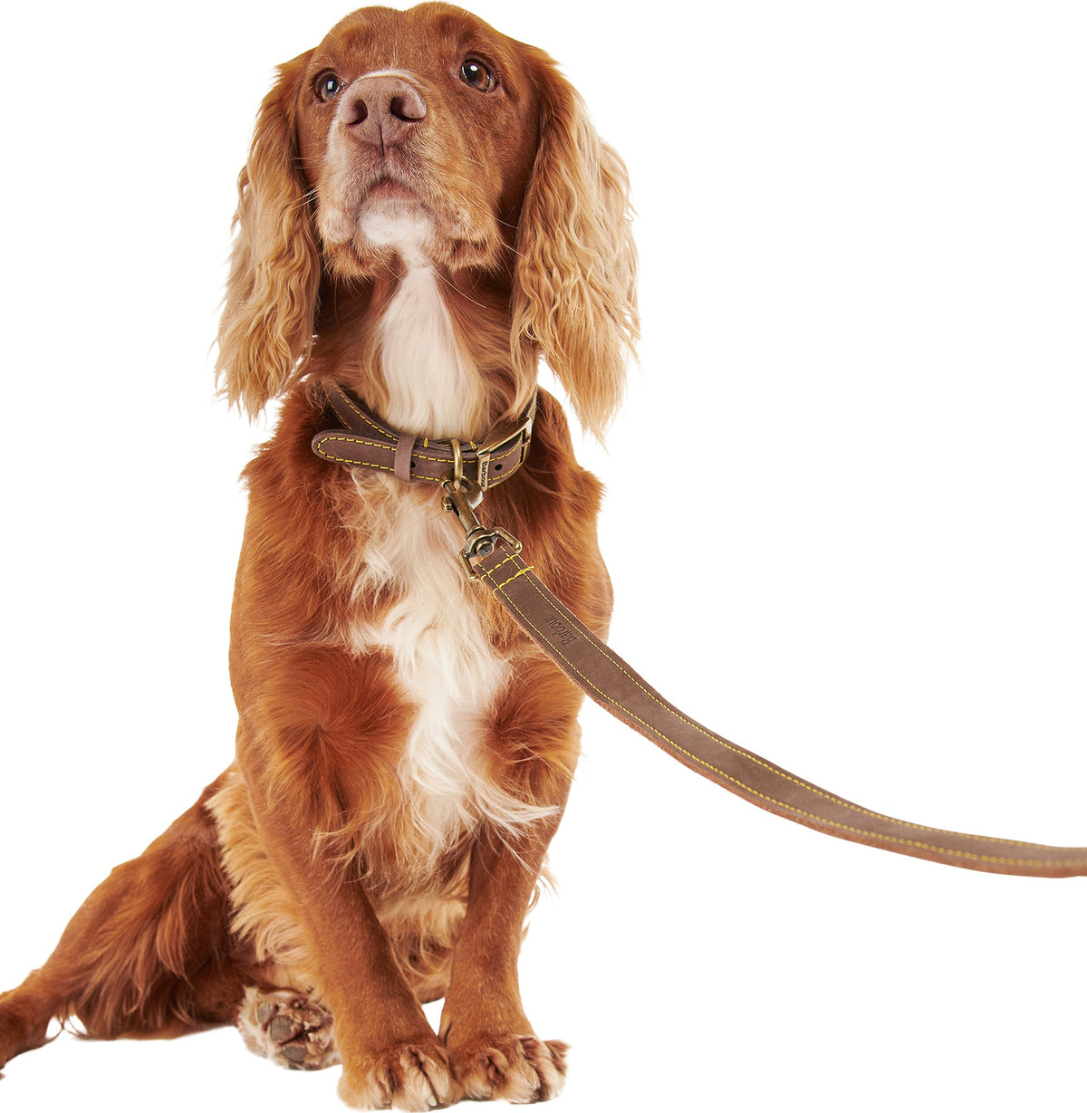 Leather Dog Lead