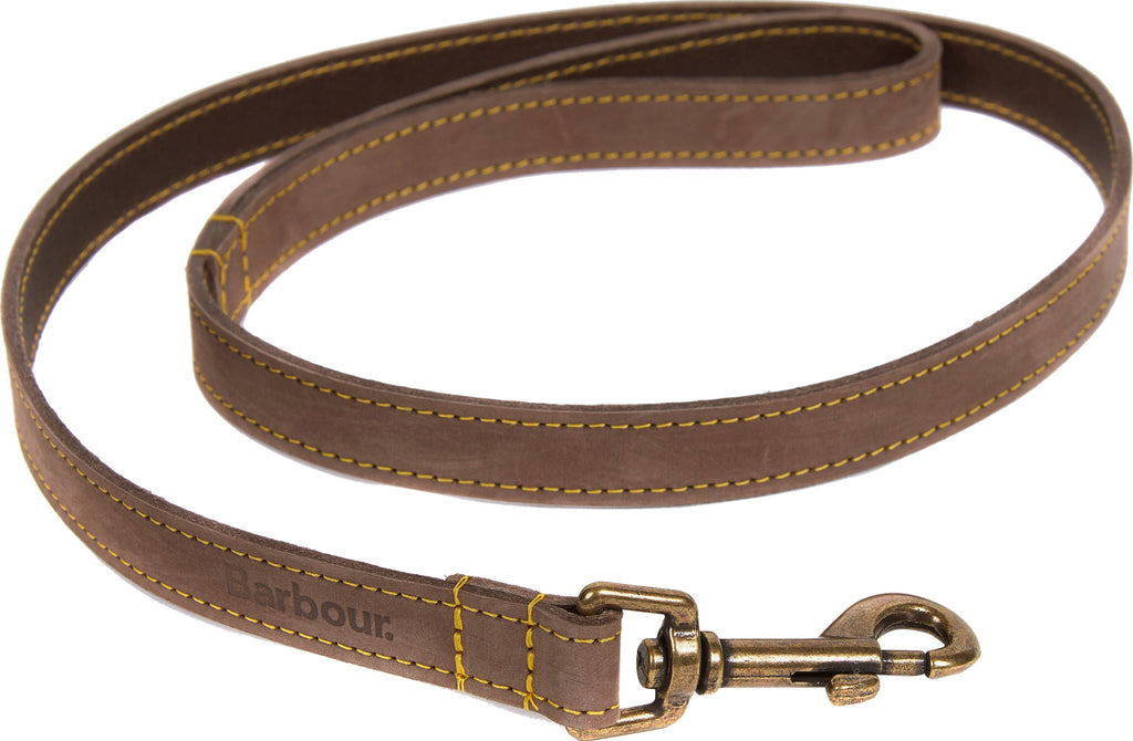 Leather Dog Lead