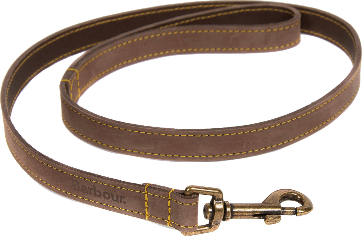 Leather Dog Lead