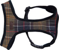 Tartan Dog Harness