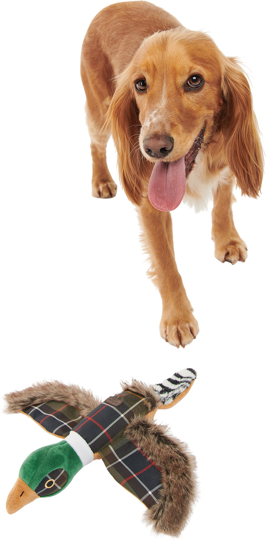 Pheasant Dog Toy