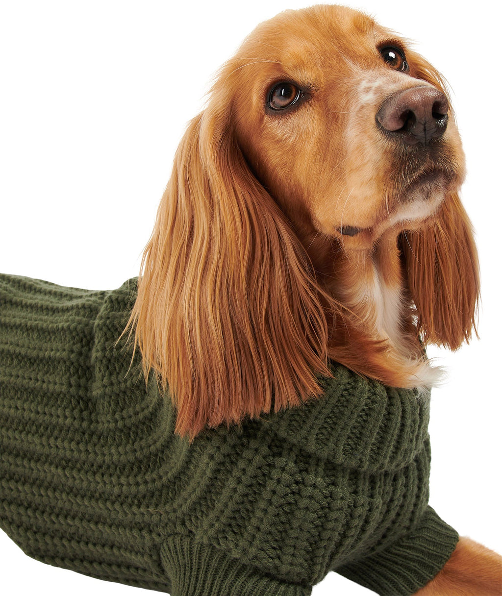 Saltburn Dog Jumper