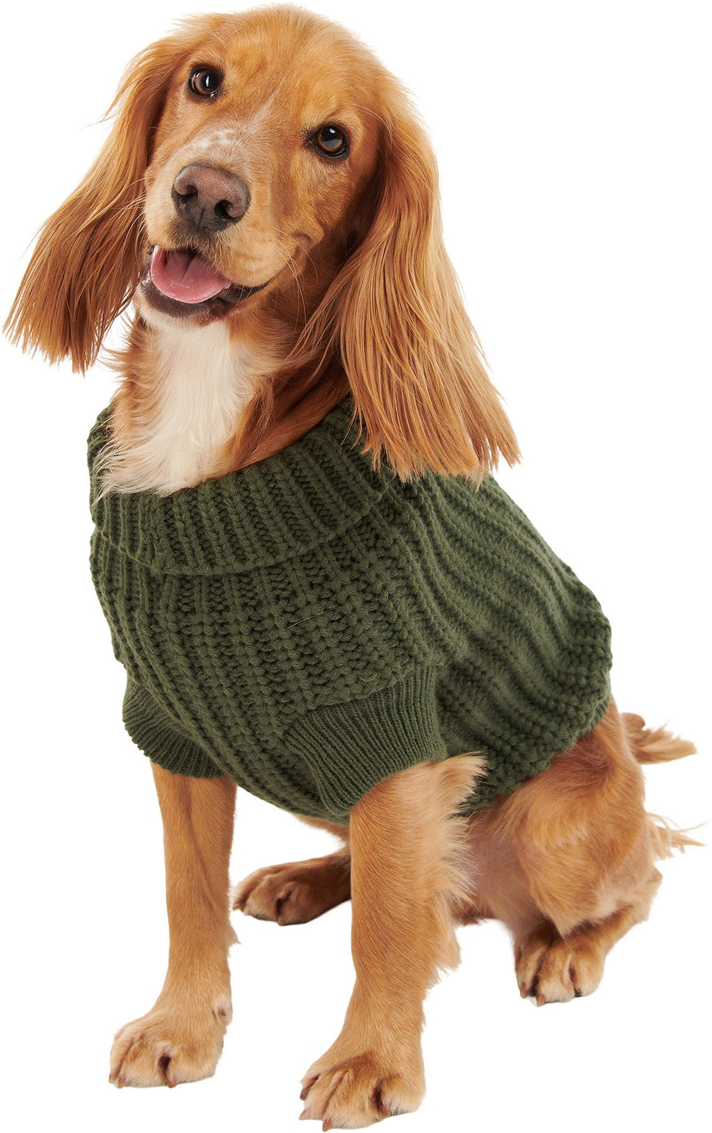 Saltburn Dog Jumper