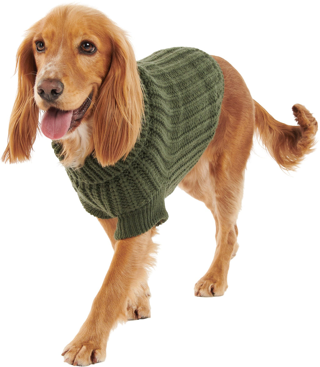 Saltburn Dog Jumper