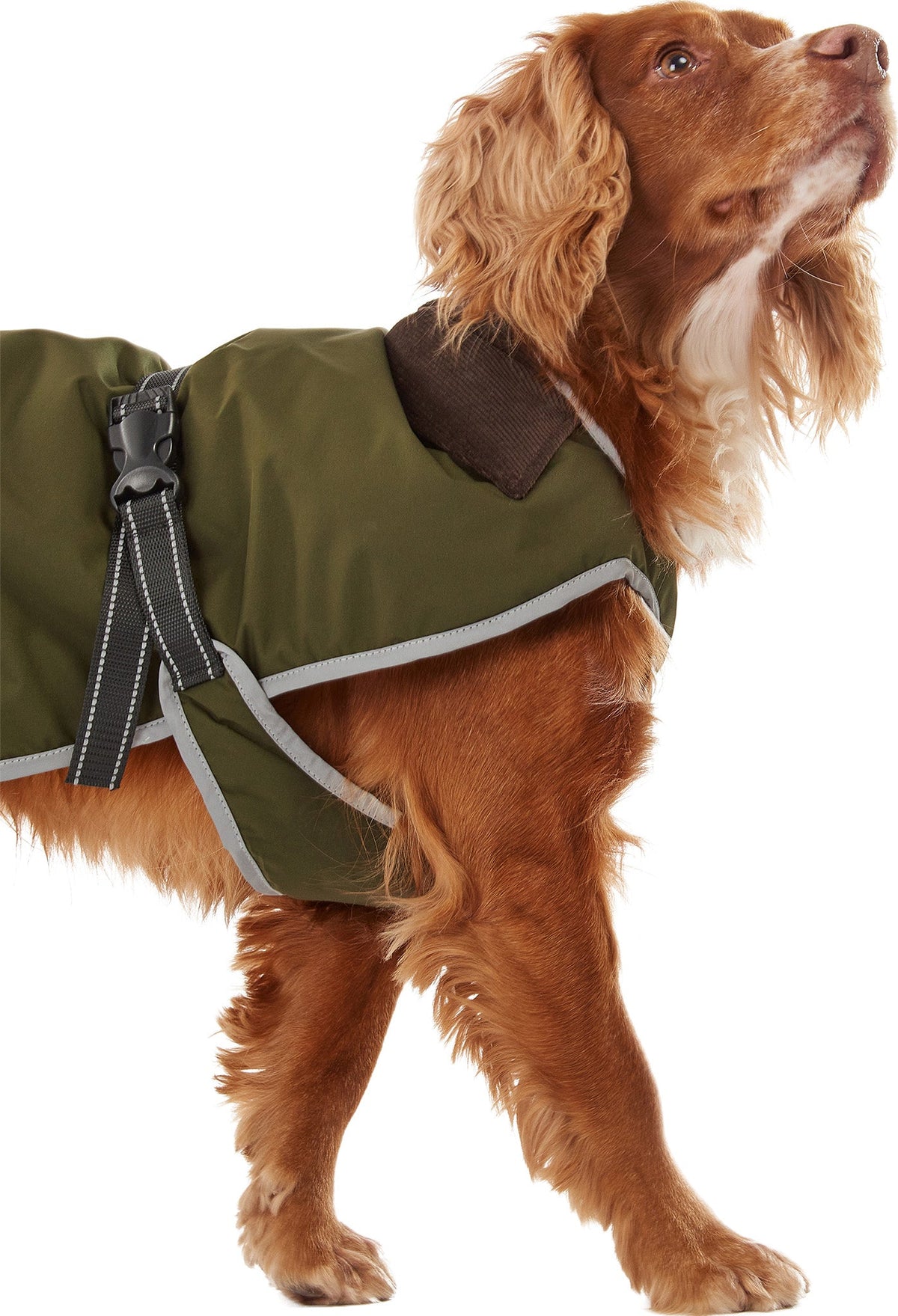 Monmouth Waterproof Dog Coat