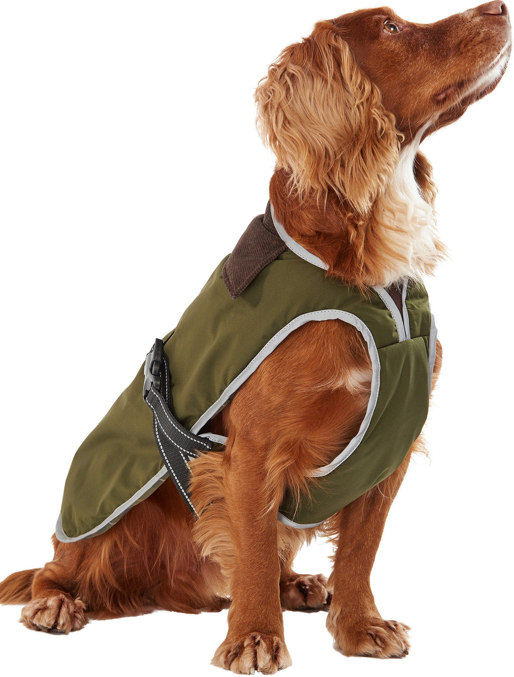 Monmouth Waterproof Dog Coat
