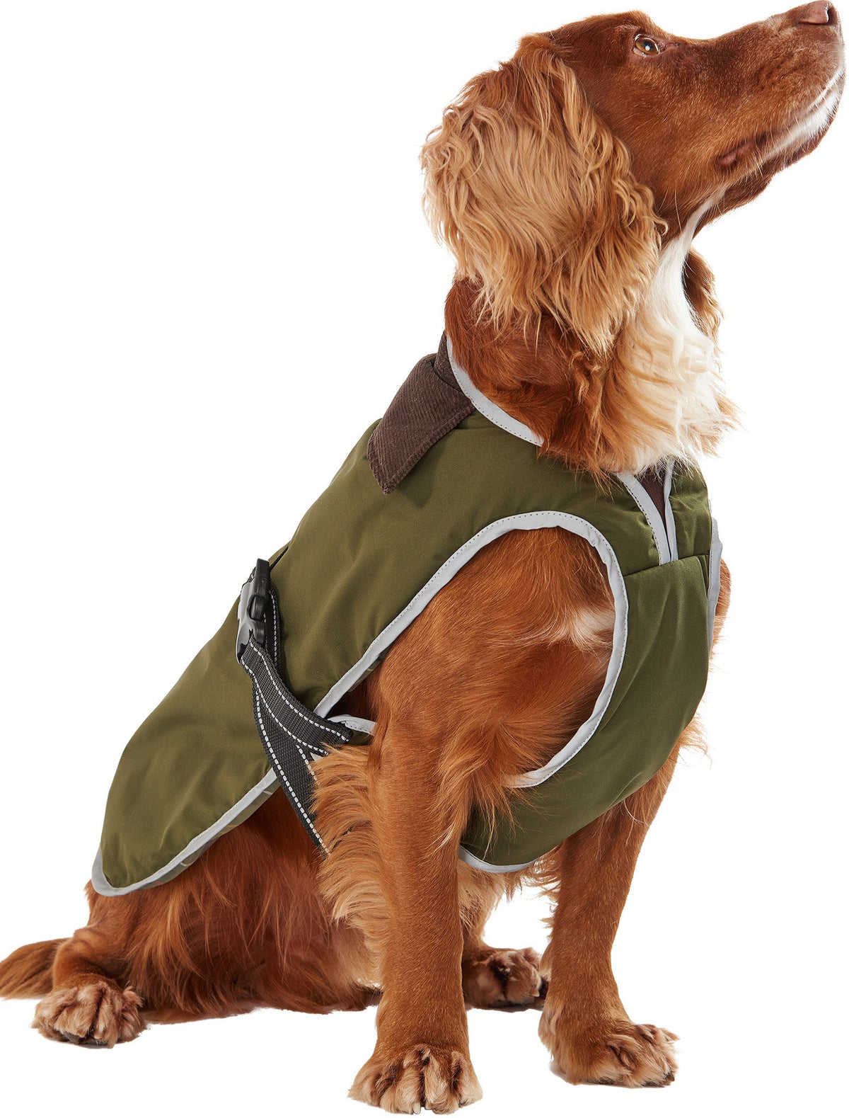 Monmouth Waterproof Dog Coat