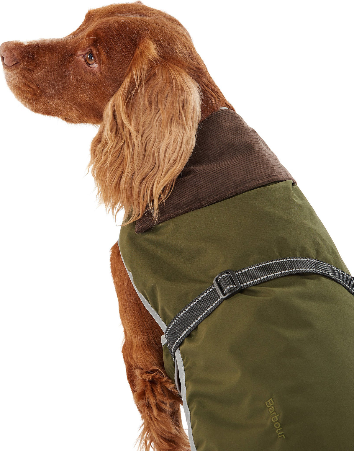 Monmouth Waterproof Dog Coat