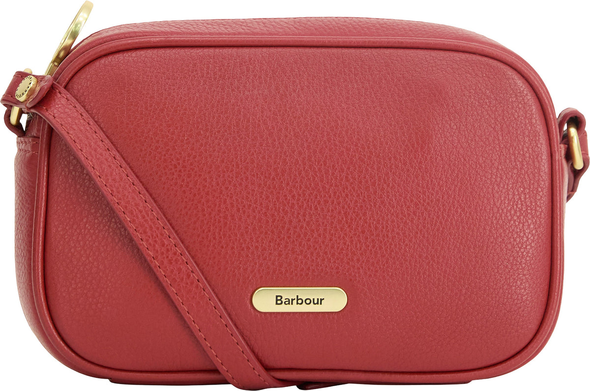 Daphne Mini Leather Crossbody Bag - Women's
